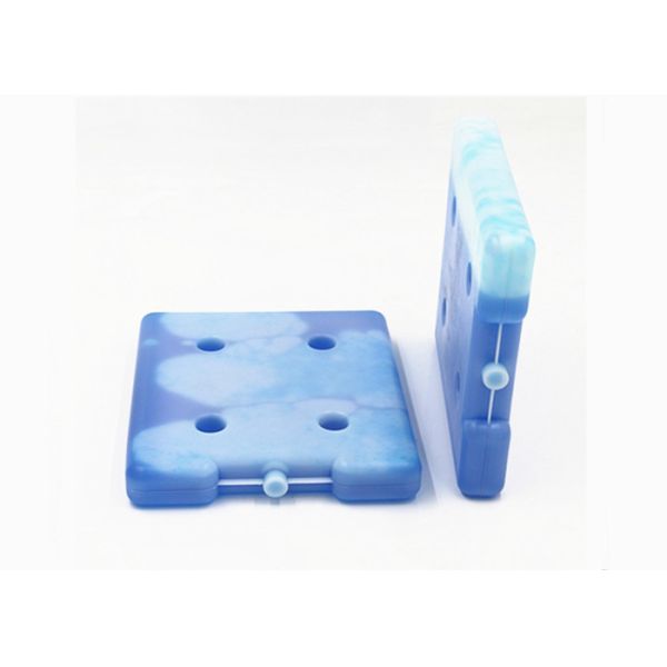 OEM Cold Chain Transport Ice Cooler Brick BPA Free