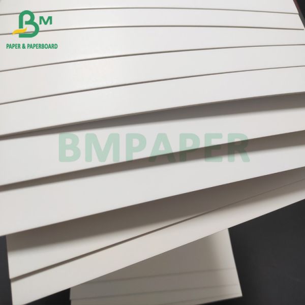 Coated food board 250gsm 420 Microns Roll Freezer Paper Single Side Coated For Food Packaging