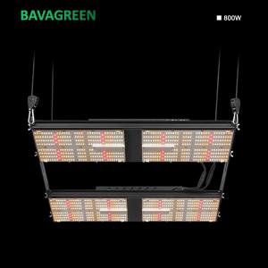 1248umol/s LM301H LED Grow Light