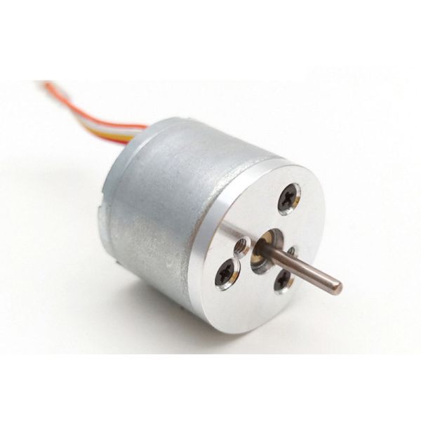 12V 24V Vibration Brushless Dc Motor 130mA Massager Bldc Motor For Tattoo Machine