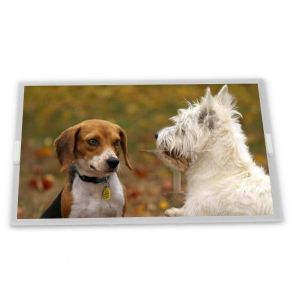 8 Inch 800*480 A-Si TFT-LCD C080VAN02.6 High-quality Screen Lcd Panel Display