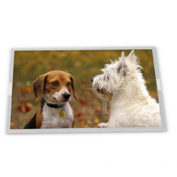 M238HAN03.6 CELL 23.8 inch a-Si TFT-LCD Rectangular Screen Lcd Panel Elevator