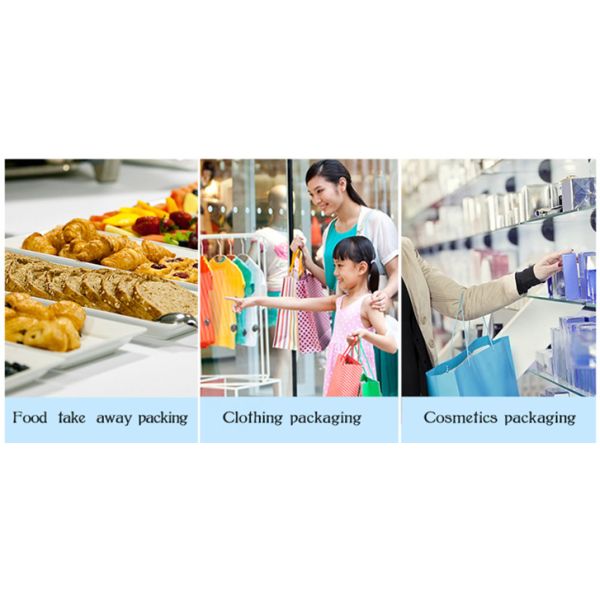 Kraft Paper Coloured Paper Bags With Glossy Lamination , White Personalised Paper Bags