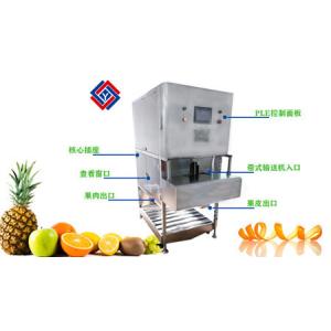 ODM 304 Stainless steel Fruit And Vegetable Peeler Machine