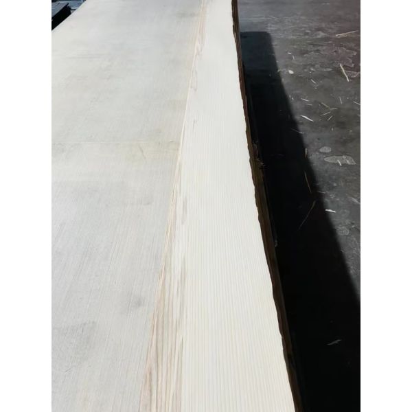 Buy Readily Ash Wood Veneer Sanded And Polished Grade AAA at wholesale prices