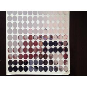 China Customized Logo Hologram Sticker with Serial Number, Custom make one time use 2D&3D transparent hologram stickers on sale China Customized Logo Hologram Sticker with Serial Number, Custom make one time use 2D&3D transparent hologram stickers on sale