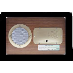 Azan Clock Muslim FM Remote Control Quran Speaker Lamp