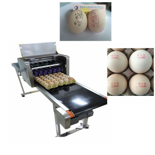 Printer Spare Parts Egg Printing Machine / Ink Cartridge Printer On Eggs Shell , Egg Label Printer