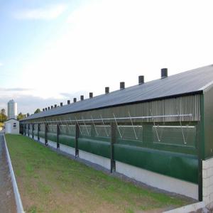 Automated Ventilated Steel Poultry House with Gable Roof