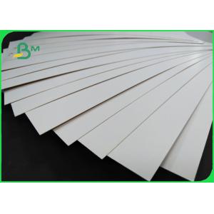 Food Grade 270gsm PE 1 / S Clay Coated Kraft Board For Frozen Products