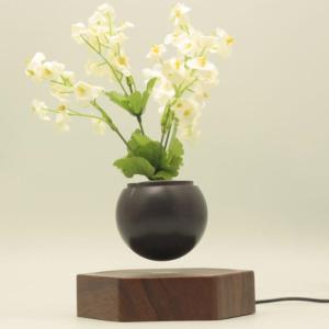 wooden base creative magnetic levitation floating air bonsai plant tree