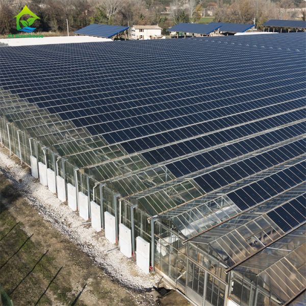 Buy Modern intelligent Venlo polycarbonate panel multi-span solar photovoltaic greenhouse at wholesale prices