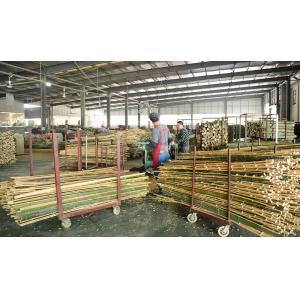 Shenzhen Magic Bamboo Industrial Co., Ltd.