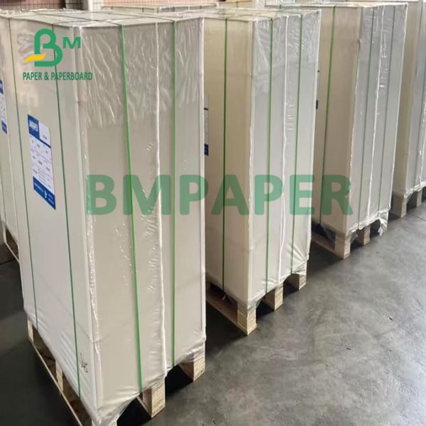 215gsm 235gsm Food Grade One Side Coated Container Board for Medicine Box 215gsm 235gsm Food Grade One Side Coated Container Board for Medicine Box