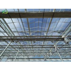 Juxiang prime s Controlled Environment Greenhouse System within Building