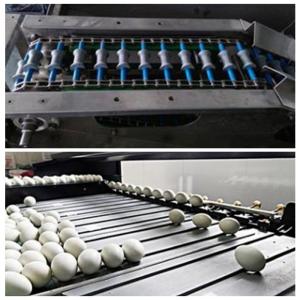 Automatic Egg Date Stamp Machine With Six Ink Can Print 1.2 Million Eggs