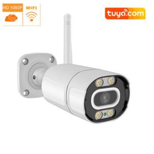 1080P Sucurity Camera IP66 Waterproof Bullet Camera(AK8643)