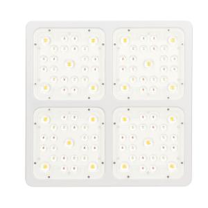 China Medicinal Plants 520μmol/s Hydroponic COB led lamp C400 400W on sale