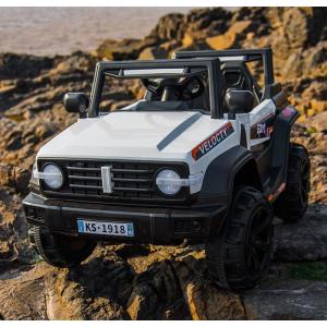 Big Boy Electric Ride On Sports Car UTV with Remote Control 6v4*2 and PP Plastic