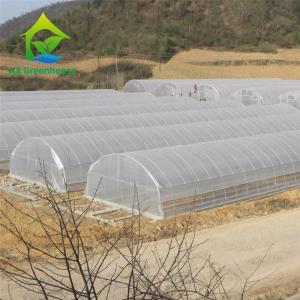 China Hydroponic Tropical Area Polytunnel Greenhouse With Climate Control on sale