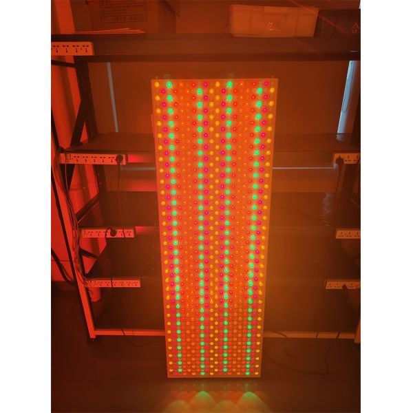 6000W ODM OEM Red Light Therapy Light 535 590 610 630 660 810 830 850 1060Nm 9 Wavelength for Acne Treatment and Anti-Aging