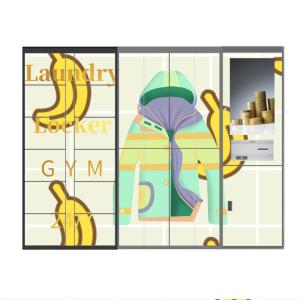 Quality Smart Electronic Laundry Room Lockers Intelligent Dry Cleaning Locker CRS for sale