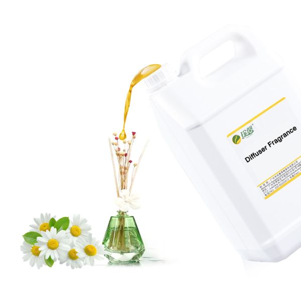 Reed Diffuser Oils Wonderful Oil For Scent Diffuser Hotel Used Household Used