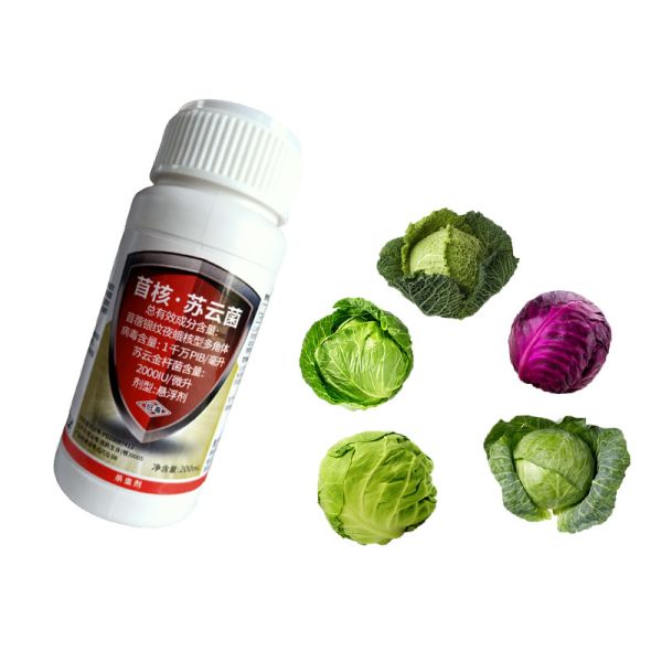 Safe agriculture organic pesticide for lettuce Indonesia farm AcNPV Environmenta