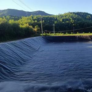 HDPE Plastic Waterproofing Anti-Seepage Geomembrane in Landfill Tailings