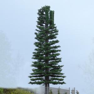 China ChangTong Camouflaged Self Supporting Tv Antenna Towers on sale