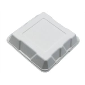 China 9 Inch Heavy Duty Biodegradable Takeout Containers on sale