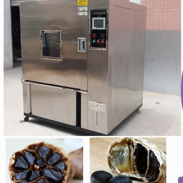 Buy Constant Temperature 1000L Black Garlic Fermentation Equipment Easy To Maintain at wholesale prices