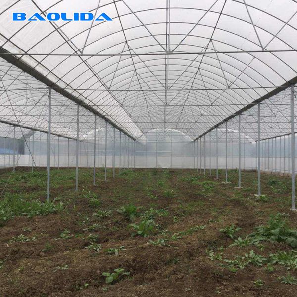 Multispan Plastic Film Greenhouse With Drip Irrigation System Plant Nursery Grow Tent