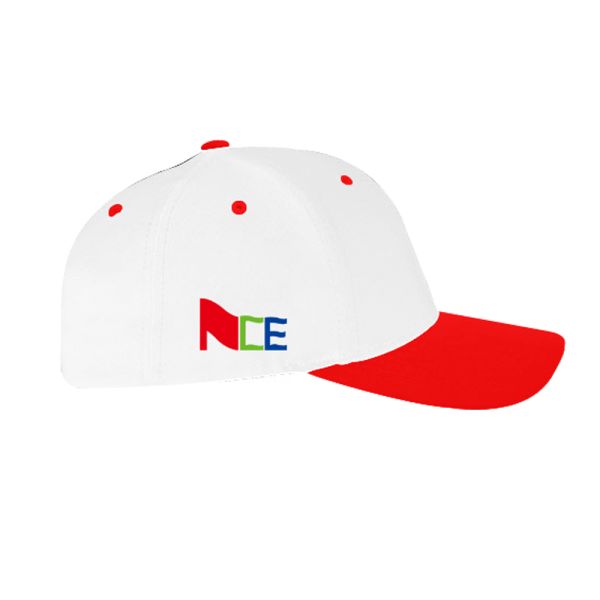 Embroidered Model Printed custom Baseball Caps For Men 100% Polyester Material