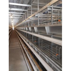 H Type Big Size Automatic Egg Layer Chicken Cage Hot Dip Galvanized Material