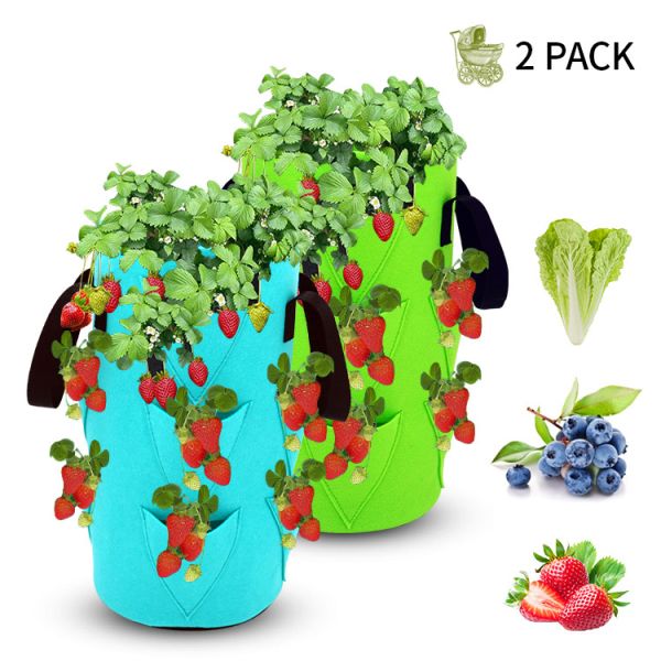 Buy Nonwoven Fabric Strawberry Grow Bag Plant Pots at wholesale prices