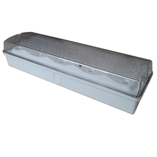 Buy External Small Waterproof Emergency Light Non Maintained 345mm×118mm×80mm at wholesale prices