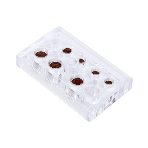 Transparent Tattoo Accessories Sterile Disposable Tattoo Ink Cups