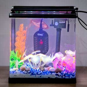 Betta Turtle 10 Gallon Hygger Aquarium Heater