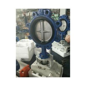 China Diaphragm Structure Awwa C504 Cast Iron Lug Type Butterfly Valve for OBM Customization on sale