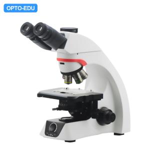 Quality OPTO EDU A12.2263 Trinocular Laboratory Biological Microscope for sale