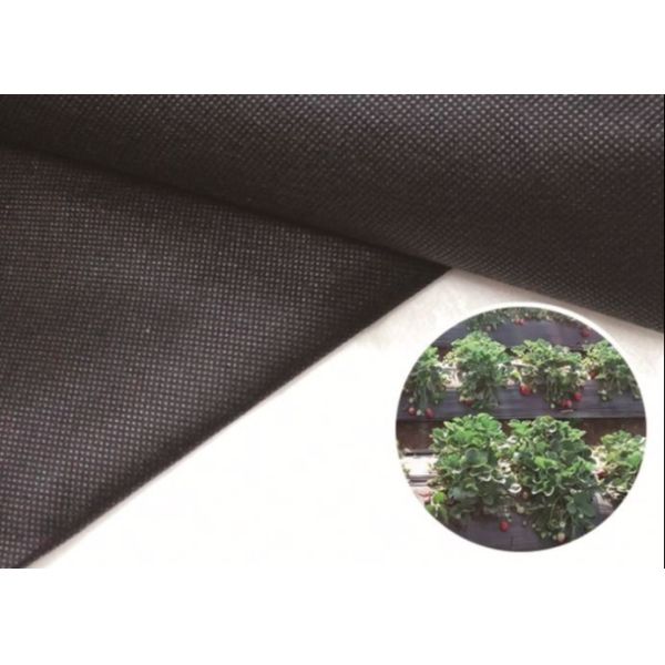 Buy Lightweight Disposable Premium Incontinence Management Fabric Customizable Logo at wholesale prices