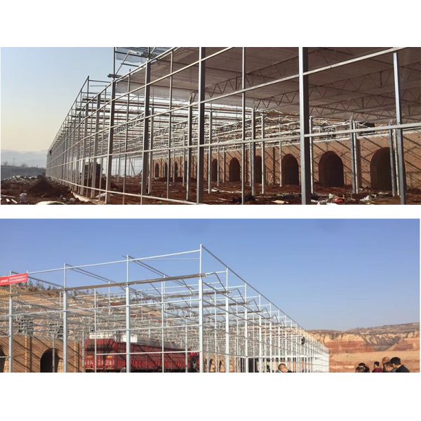 Good Light Permeability Essential for Venlo Glass Greenhouse in Agricultural Industry