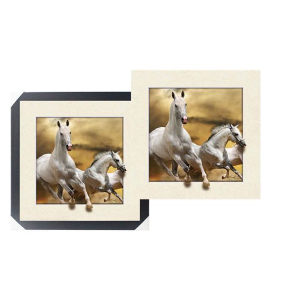 SGS 3d Lenticular Picture With PS Frame 0.6mm Pet Thickness 5d Photos