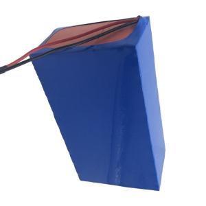 MSDS 24V 20Ah 18650 Lithium Rechargeable Battery 1C For Solar