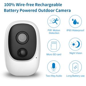 Remote Control Night Vision Two-way Audio Pir Wify Outdoor Camera Work with Tuya
