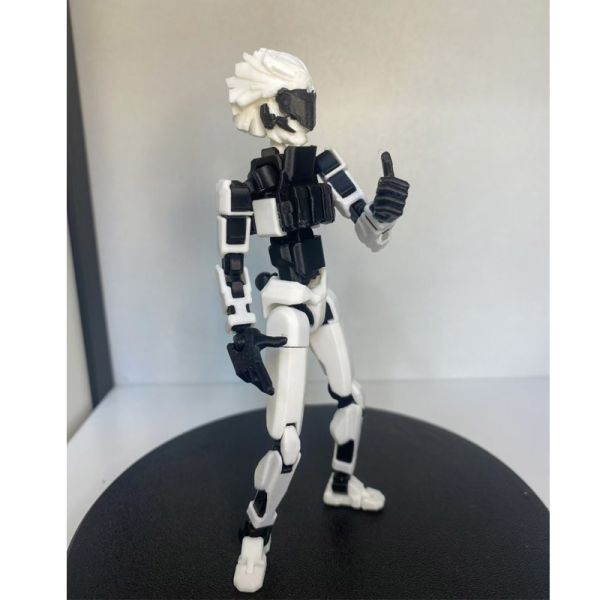 Manufacturer Wholesales 3D Printed Products Black-White Dummy13