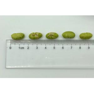 Nutritious Crispy Unsalted Dry Roasted Edamame Kernel Protein Packed Snack