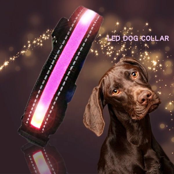 Custom USB LED Dog Collar Nylon Print Adjustable Reflective Rechargeable