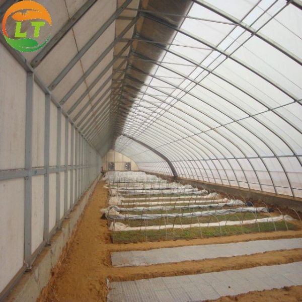 Buy Customized Width Traditional Solar Vegetable Greenhouse with Film Cover Material at wholesale prices